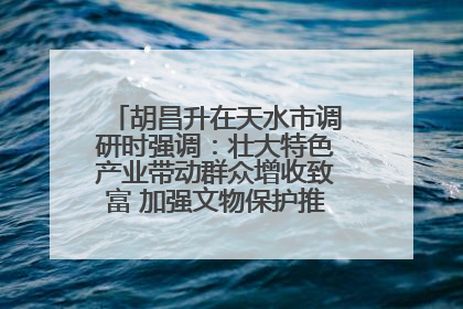 胡昌升在天水市调研时强调：壮大特色产业带动群众增收致富 加强文物保护推动文化创新发展